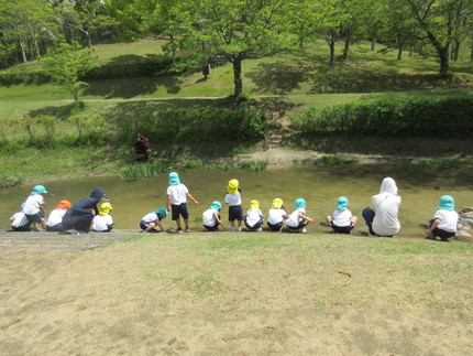 京阪奈公園、遠足