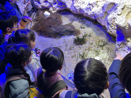 鳥羽水族館